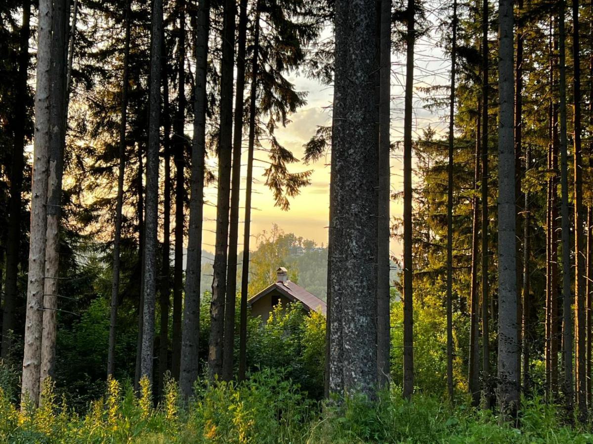 Apartalala, Apartament Z Ogrodem Karpacz Exteriér fotografie